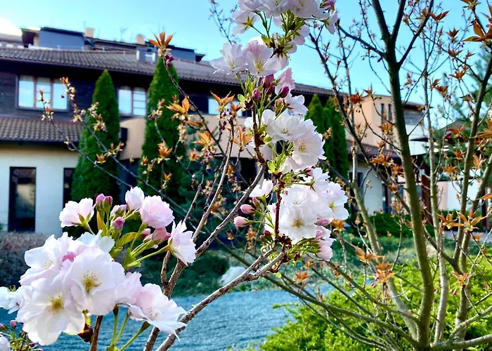 Caramell Premium Resort Superior